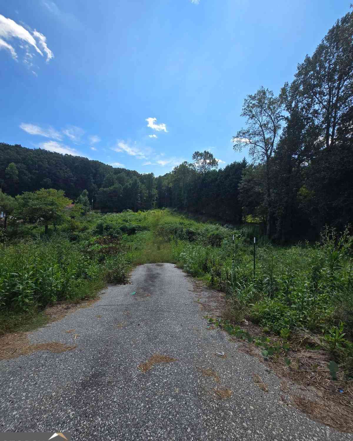 Vacant Land For Sale - Highway 115 E<br/> Cleveland, GA 30528