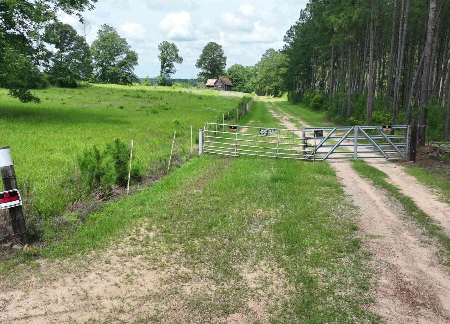 Vacant Land For Sale - 5257 Blume Road<br/> Mitchell, GA 30820
