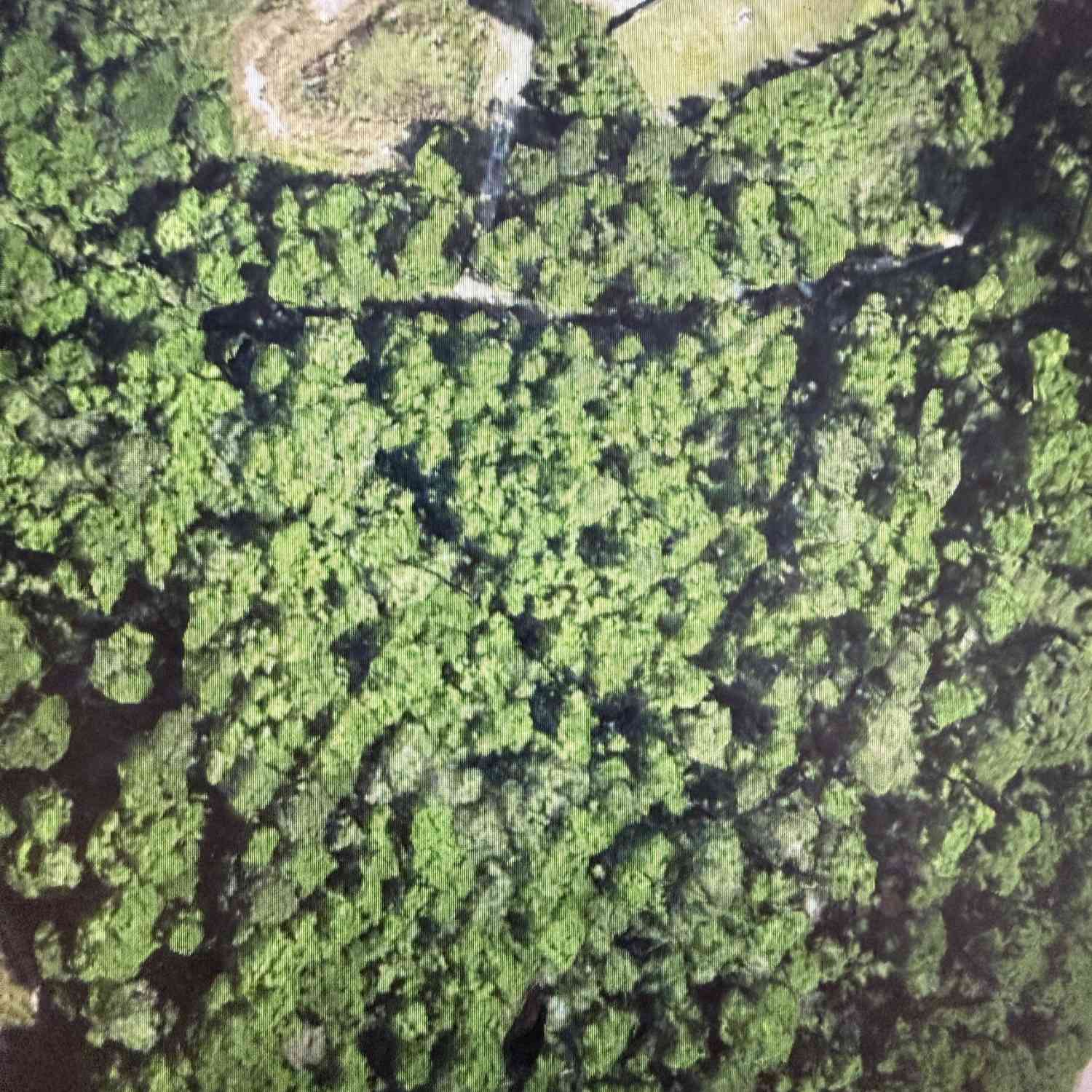 Vacant Land For Sale - 412 Coachs Way<br/> Statesboro, GA 30458