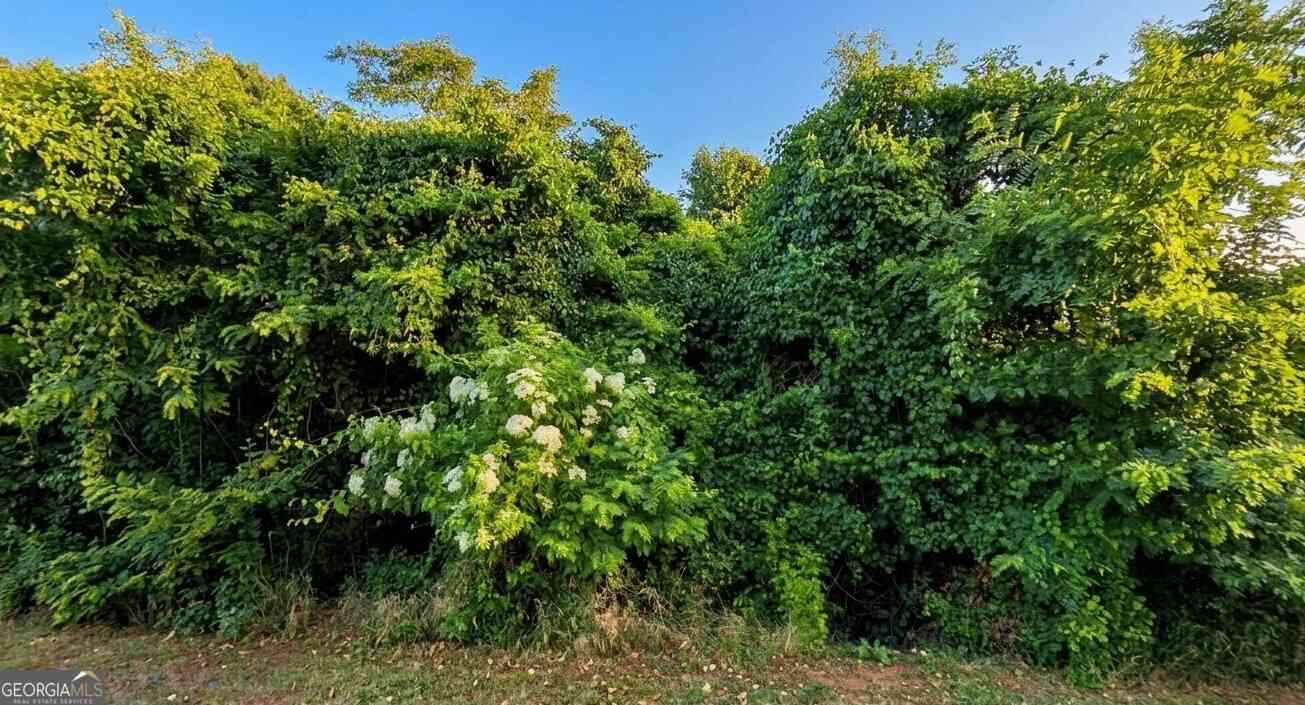 Vacant Land For Sale - 288 Naomi Drive<br/> Rogersville, AL 35652