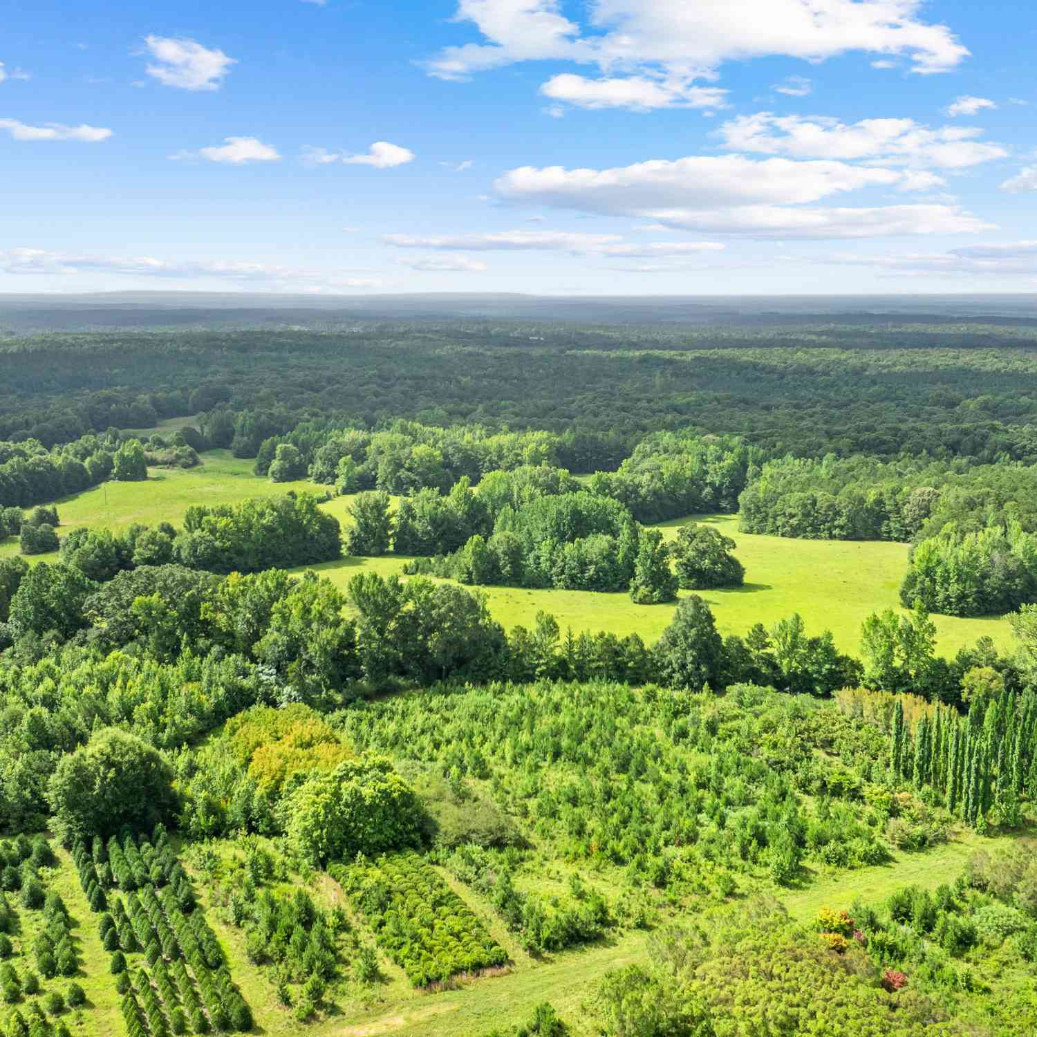 Vacant Land For Sale - Ray Road<br/> Meriwether County, Gay, GA 30218
