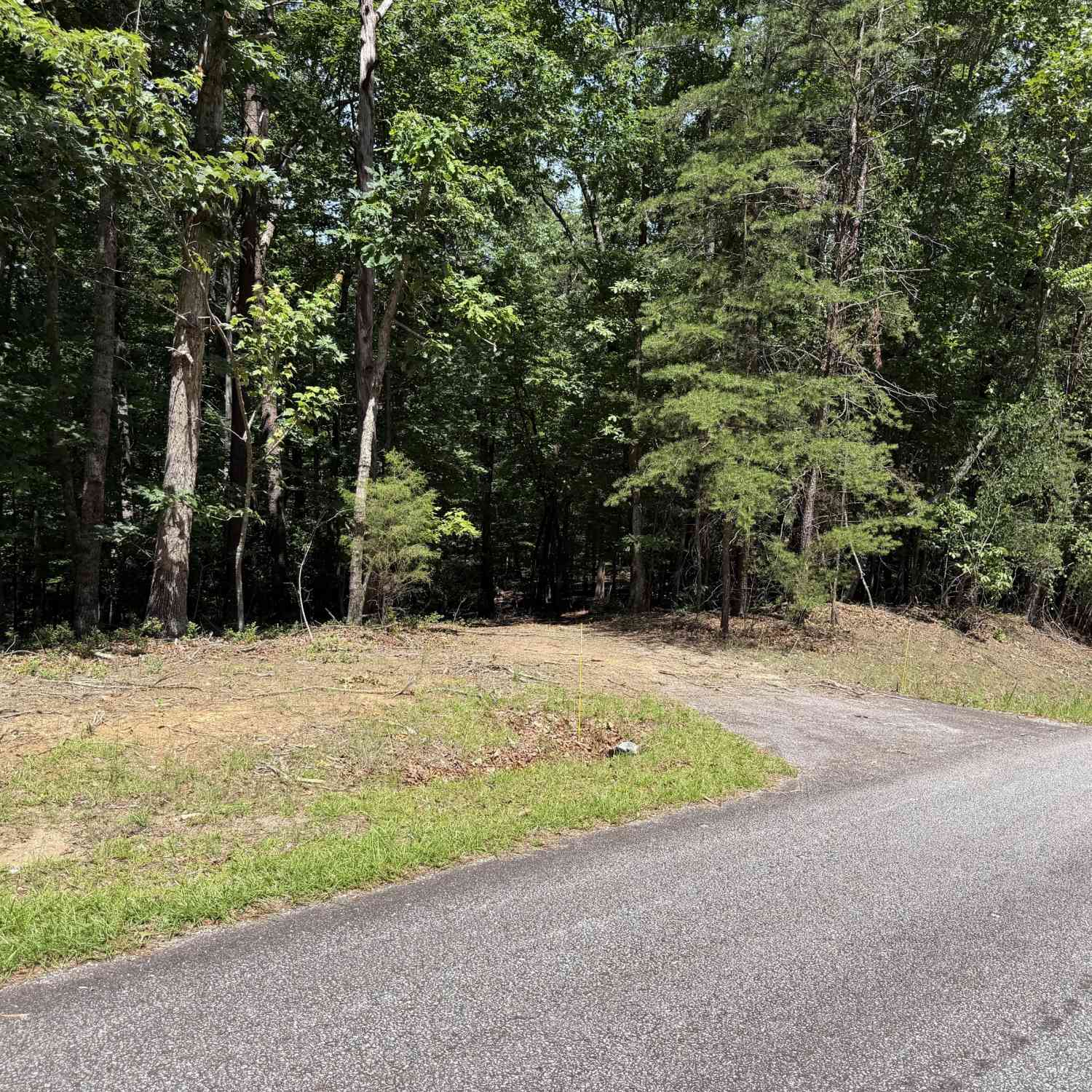 Vacant Land For Sale - 7 Ivy Hills Drive<br/> Cleveland, GA 30528