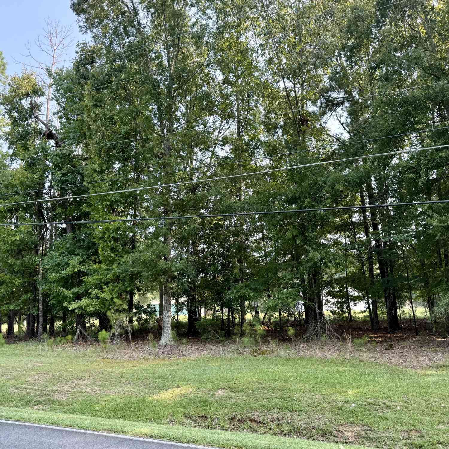Vacant Land For Sale - 101 Stanton Drive<br/> Eatonton, GA 31024