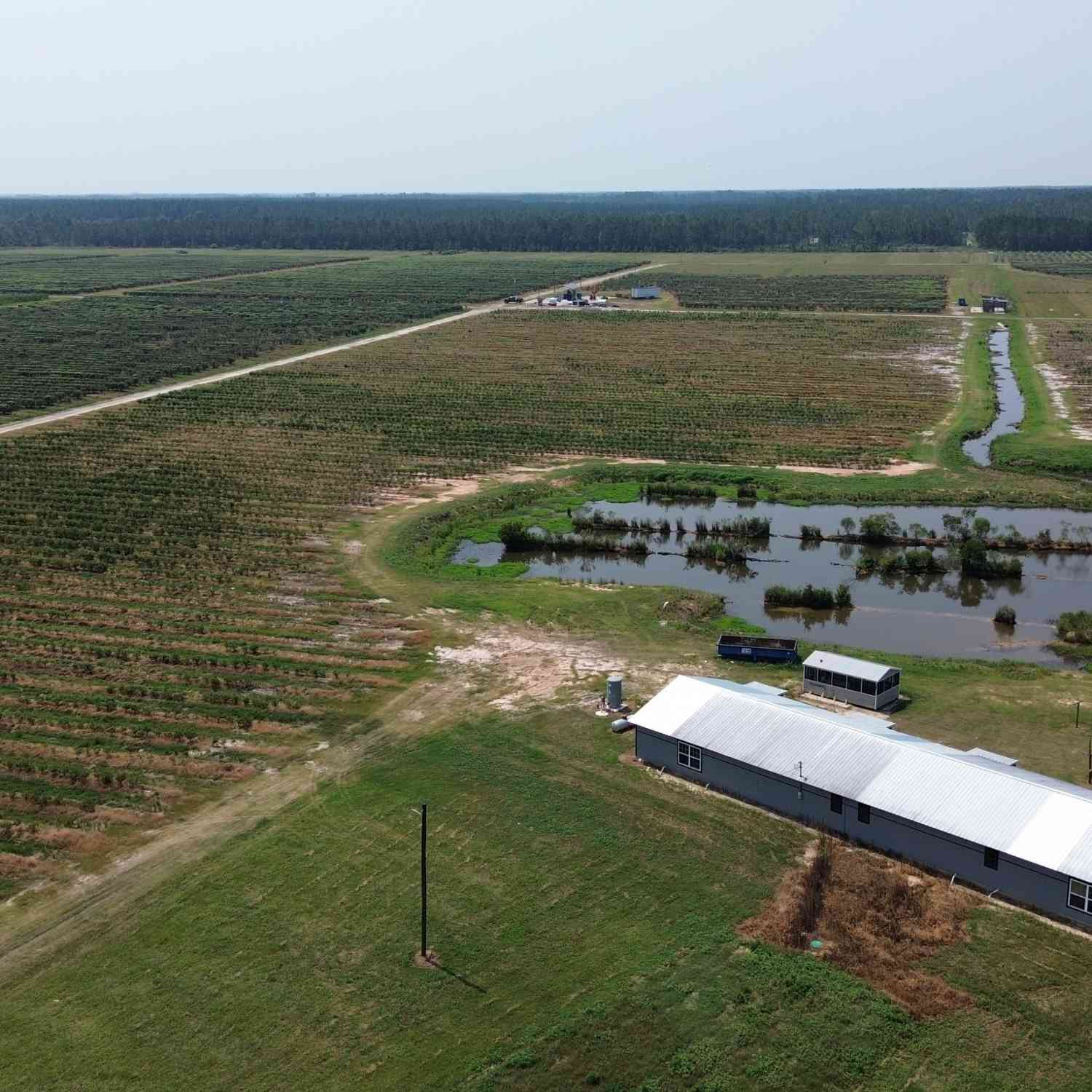 Vacant Land For Sale - 930 Old Surrency Road<br/> Appling County, Baxley, GA 31513