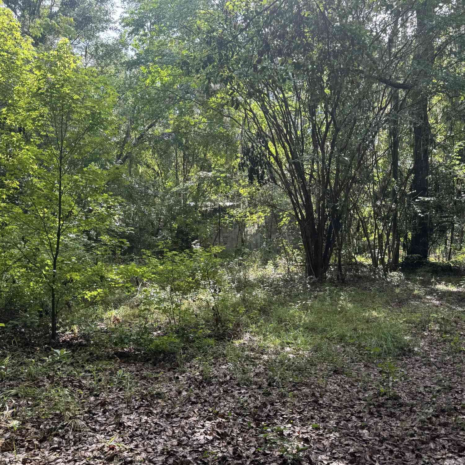 Vacant Land For Sale - 68 Johnson Road<br/> Richmond Hill, GA 31324