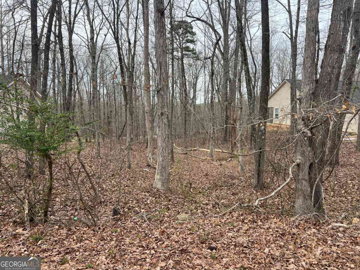 Vacant Land For Sale - 3254 Greenhill Court<br/> Villa Rica, GA 30180