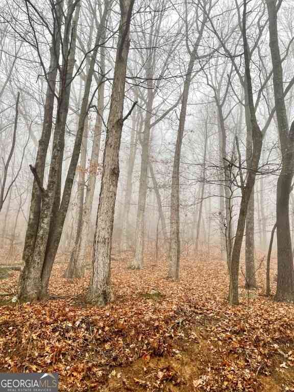 Vacant Land For Sale - Fox Mountain Road<br/> Hiddenite, NC 28363