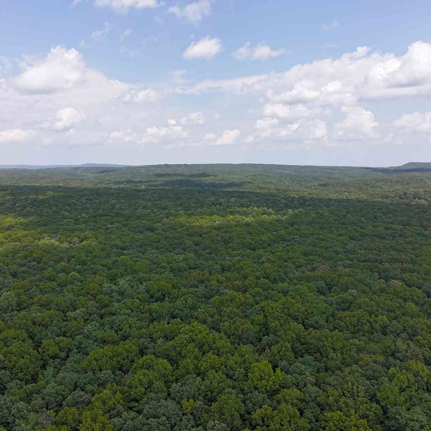 Vacant Land For Sale - Griff Johnson Road<br/> Menlo, GA 30731