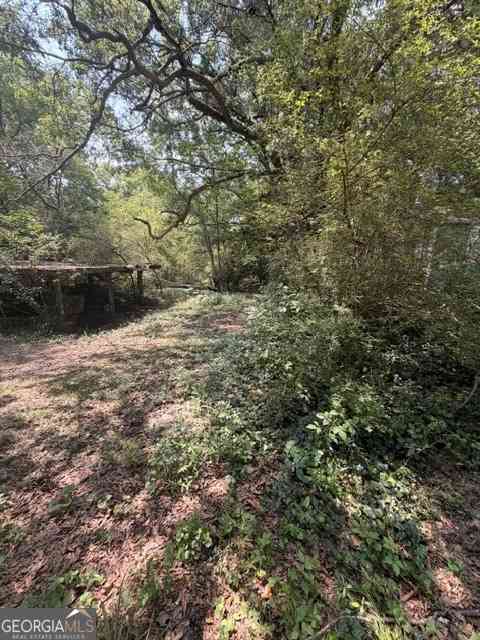Vacant Land For Sale - 10 1/2 Akin Street<br/> Carrollton, GA 30119