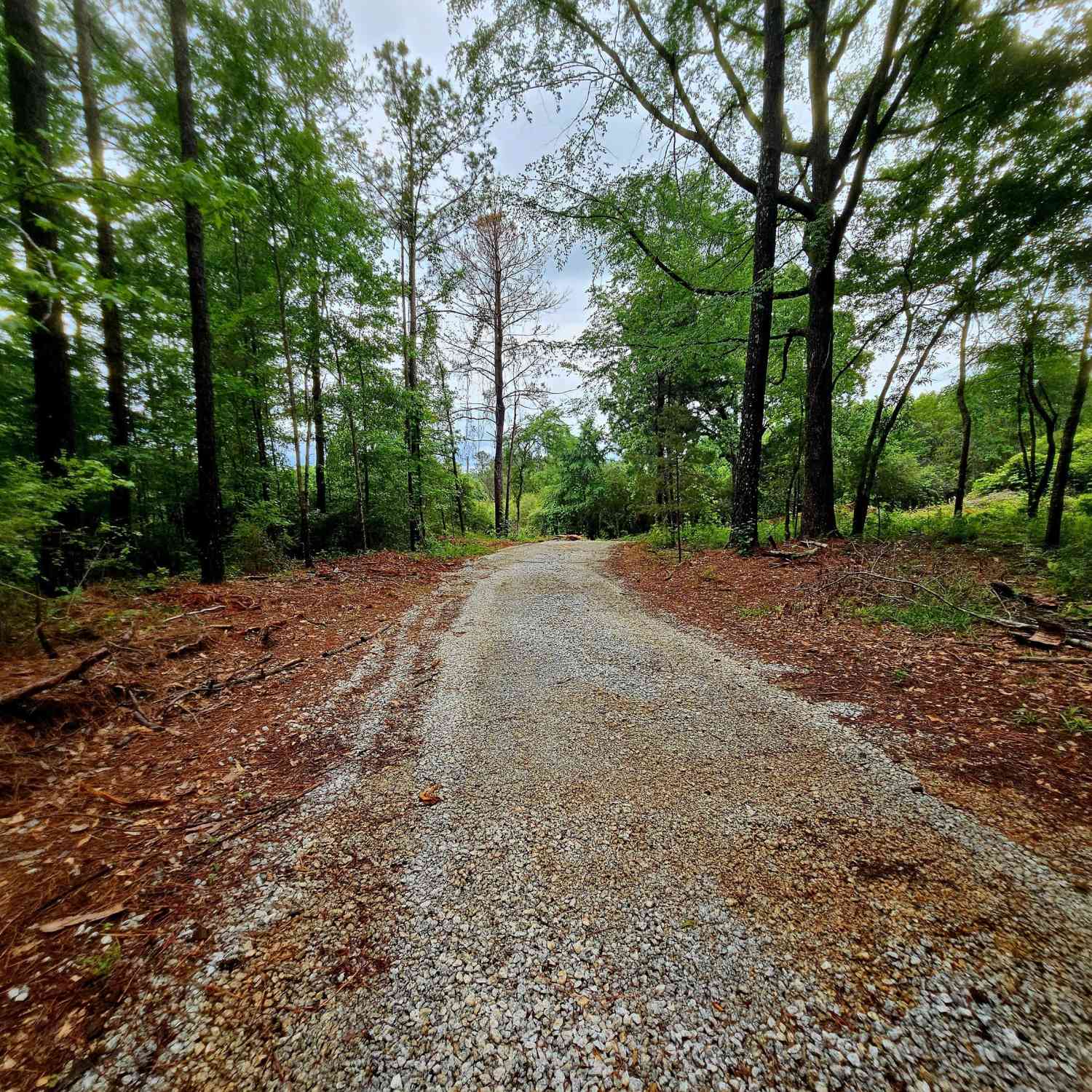 Vacant Land For Sale - School House Hill Road<br/> Franklin, GA 30217