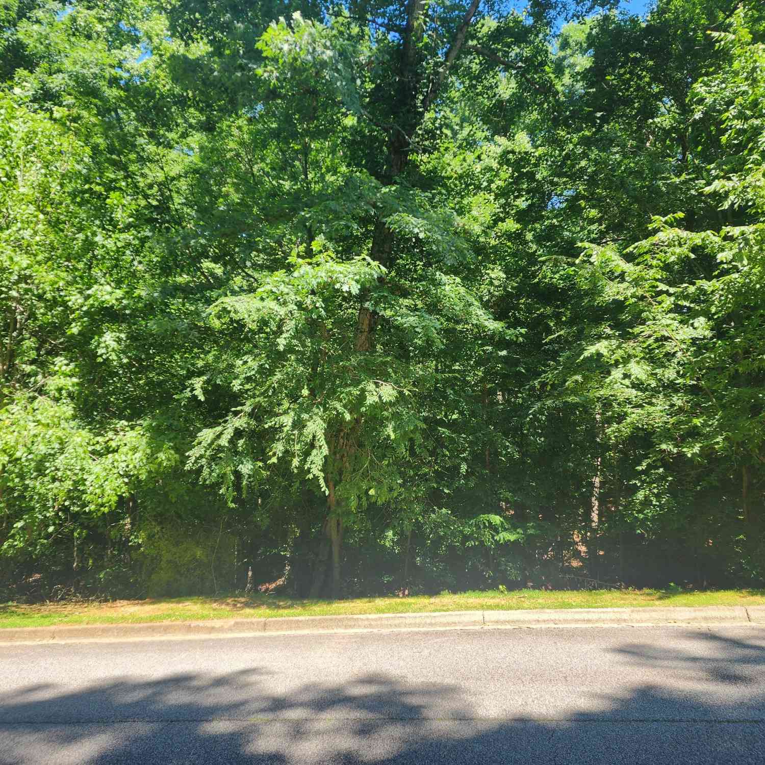 Vacant Land For Sale - 1034 City Market Street<br/> Hoschton, GA 30548