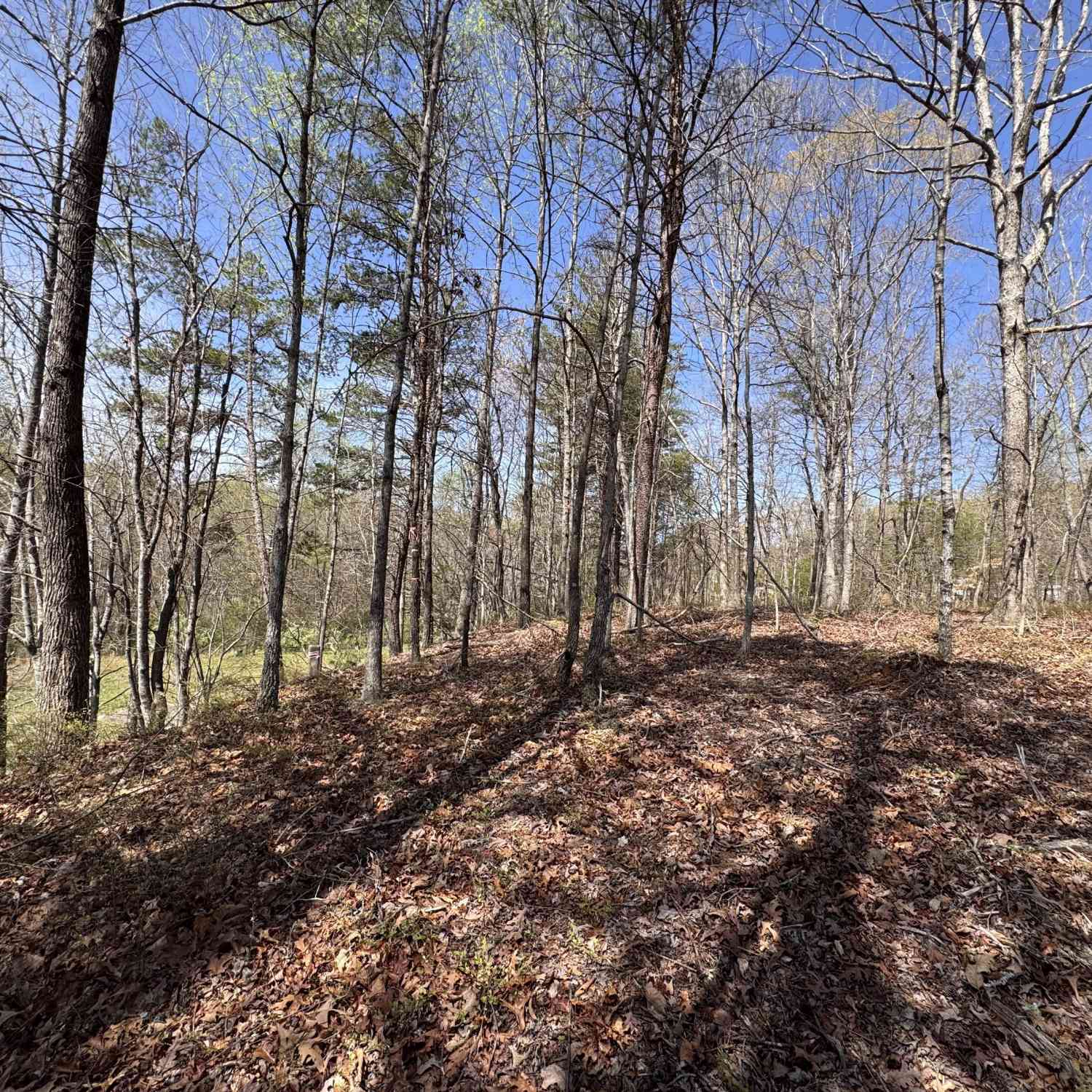 Vacant Land For Sale - Highway 129 N<br/> Cleveland, GA 30528