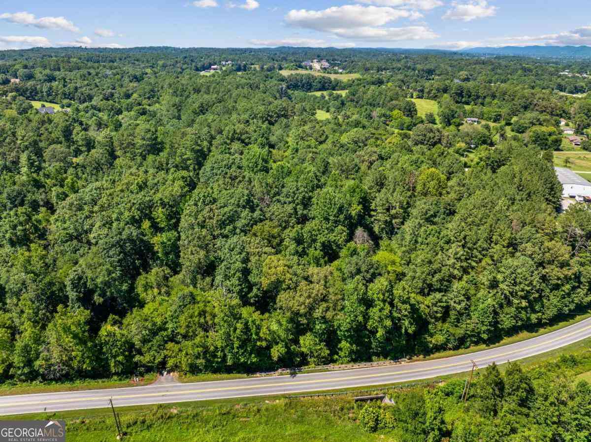 Vacant Land For Sale - Mount Pisgah Road<br/> Ringgold, GA 30736