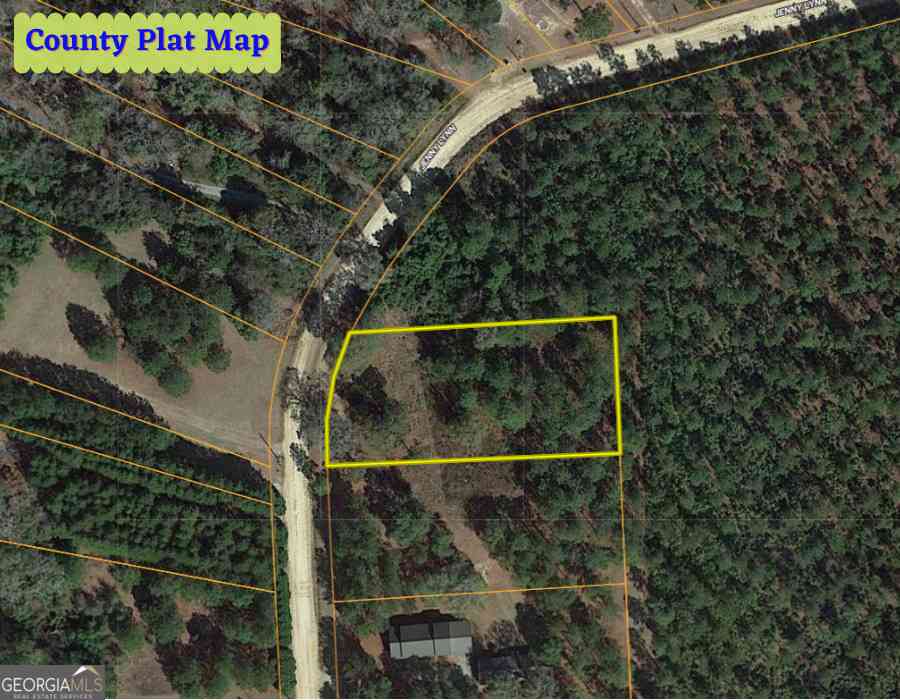 Vacant Land For Sale - 1 Jenny Lynn Lane<br/> Fort Gaines, GA 39851