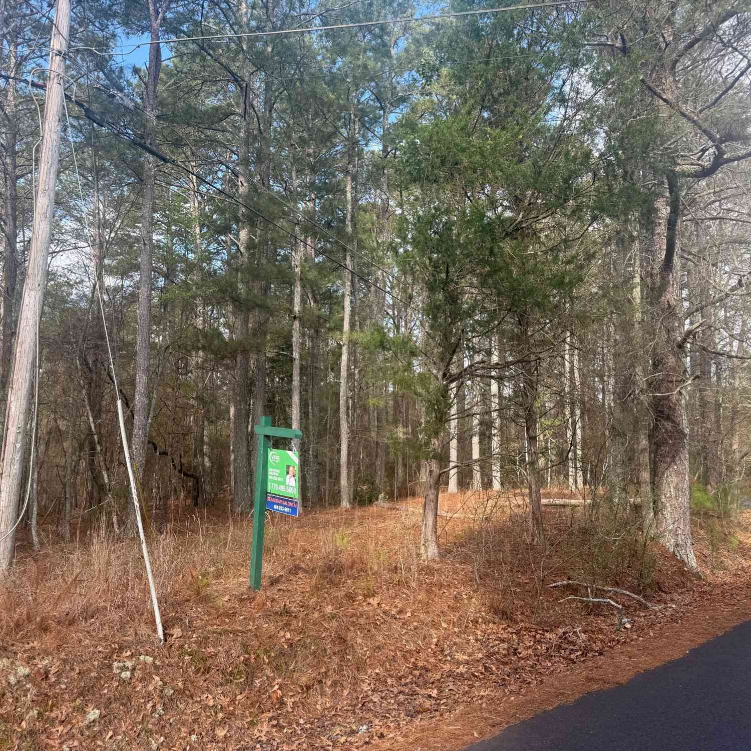 Vacant Land For Sale - 8615 Smith James Road #TRACT 2<br/> Snellville, GA 30039