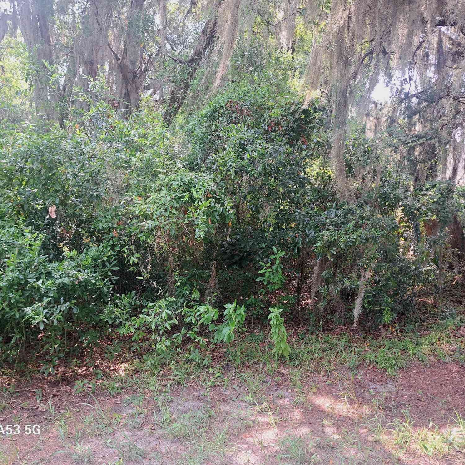 Vacant Land For Sale - 706 Ready Street<br/> Camden County, Saint Marys, GA 31558