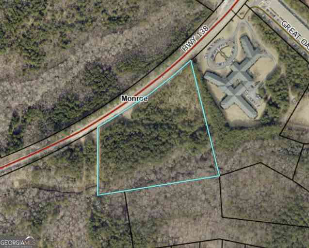 Vacant Land For Sale - Hwy 138<br/> Walton County, Monroe, GA 30655