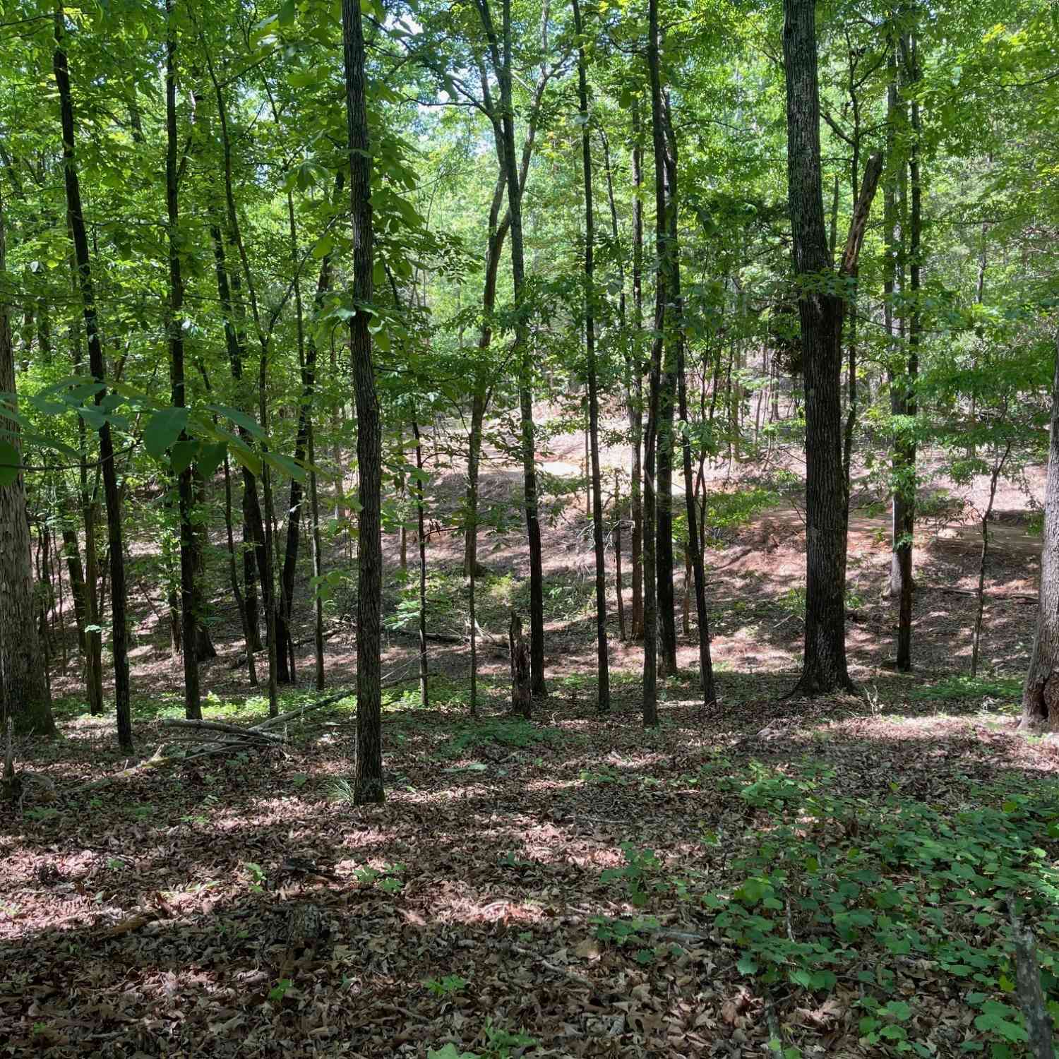 Vacant Land For Sale - TRACT 3 Chalcrest Way<br/> Floyd County, Cave Spring, GA 30124