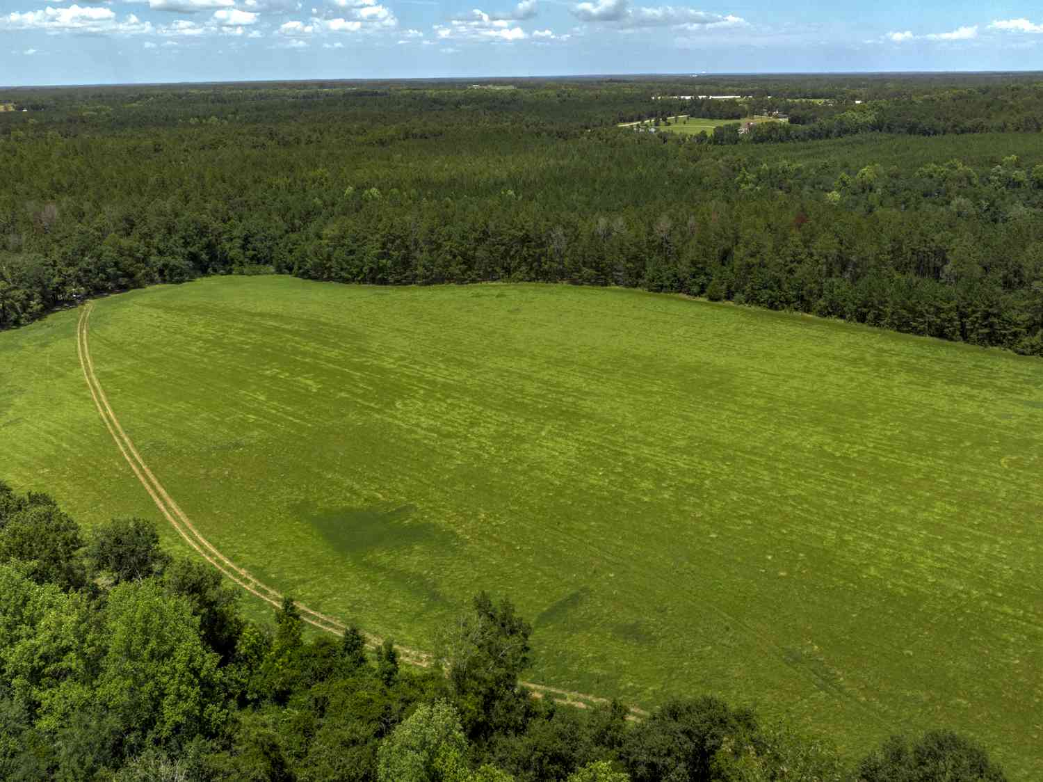 Vacant Land For Sale - Wallace Parker Drive<br/> Claxton, GA 30417