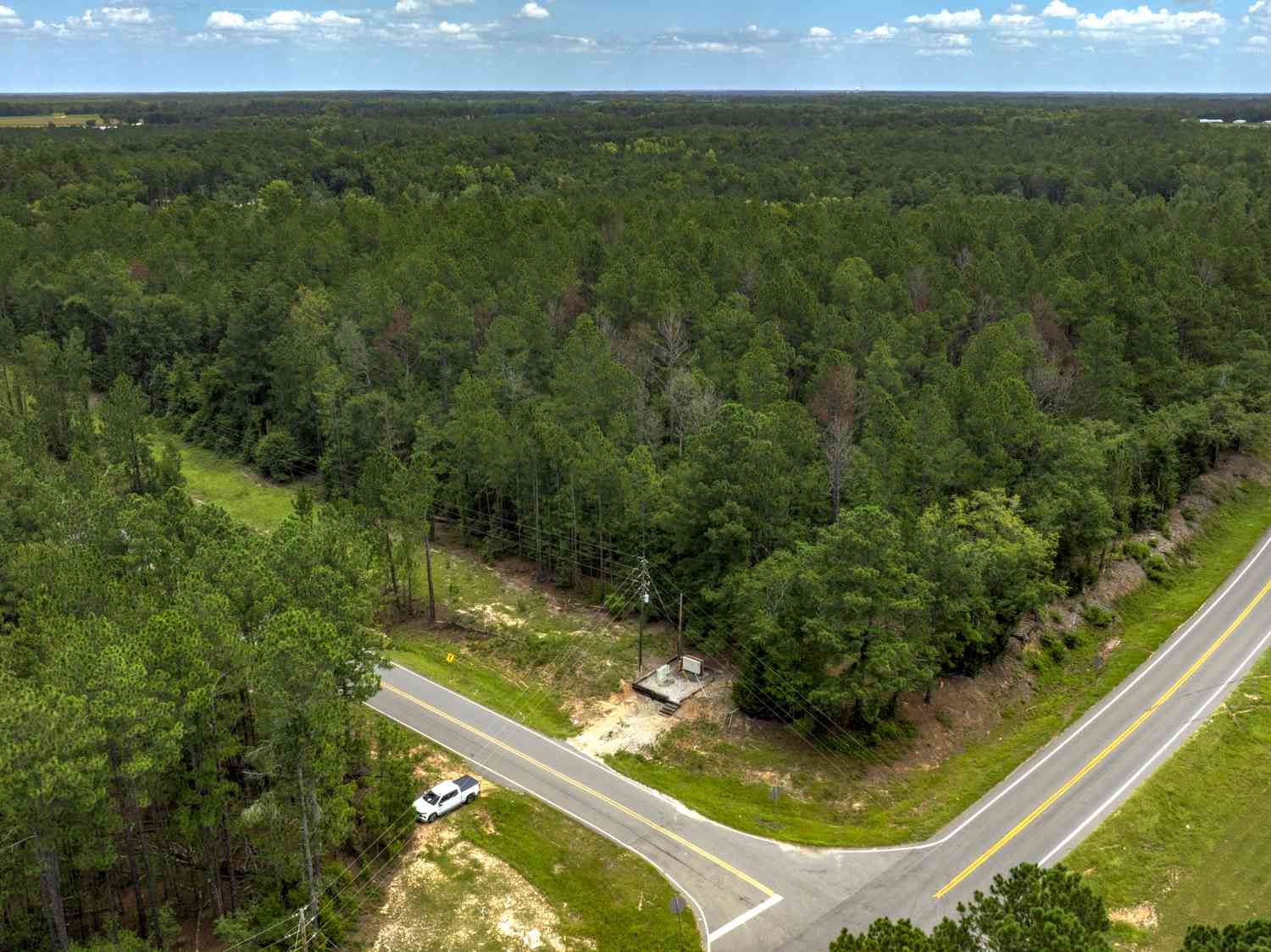 Vacant Land For Sale - Stafford Road<br/> Claxton, GA 30417