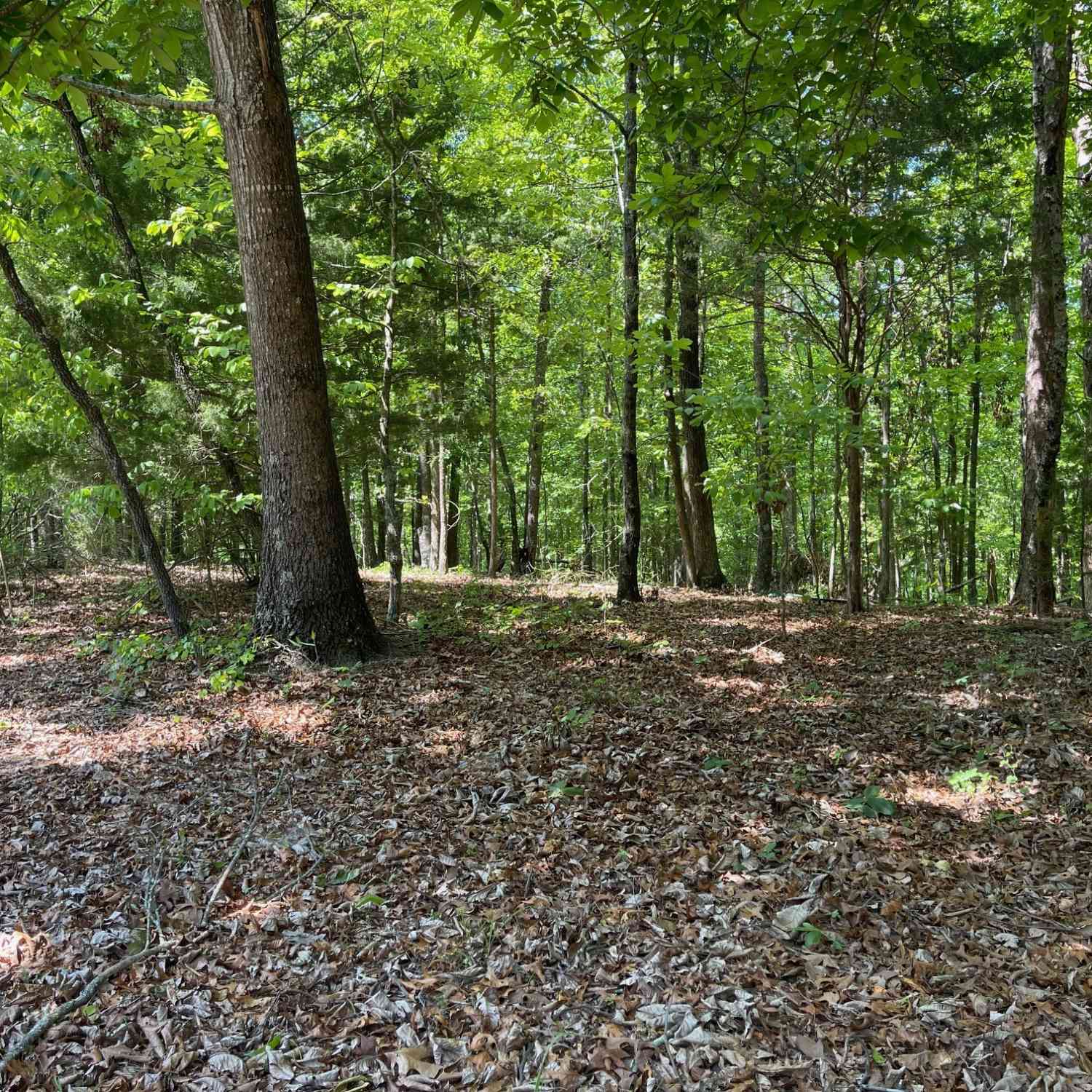 Vacant Land For Sale - TRACT 1A Chalcrest Way<br/> Floyd County, Cave Spring, GA 30124