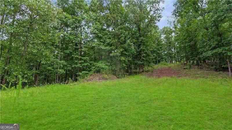 Vacant Land For Sale - 1845 Tibbitts Road<br/> Dallas, GA 30132