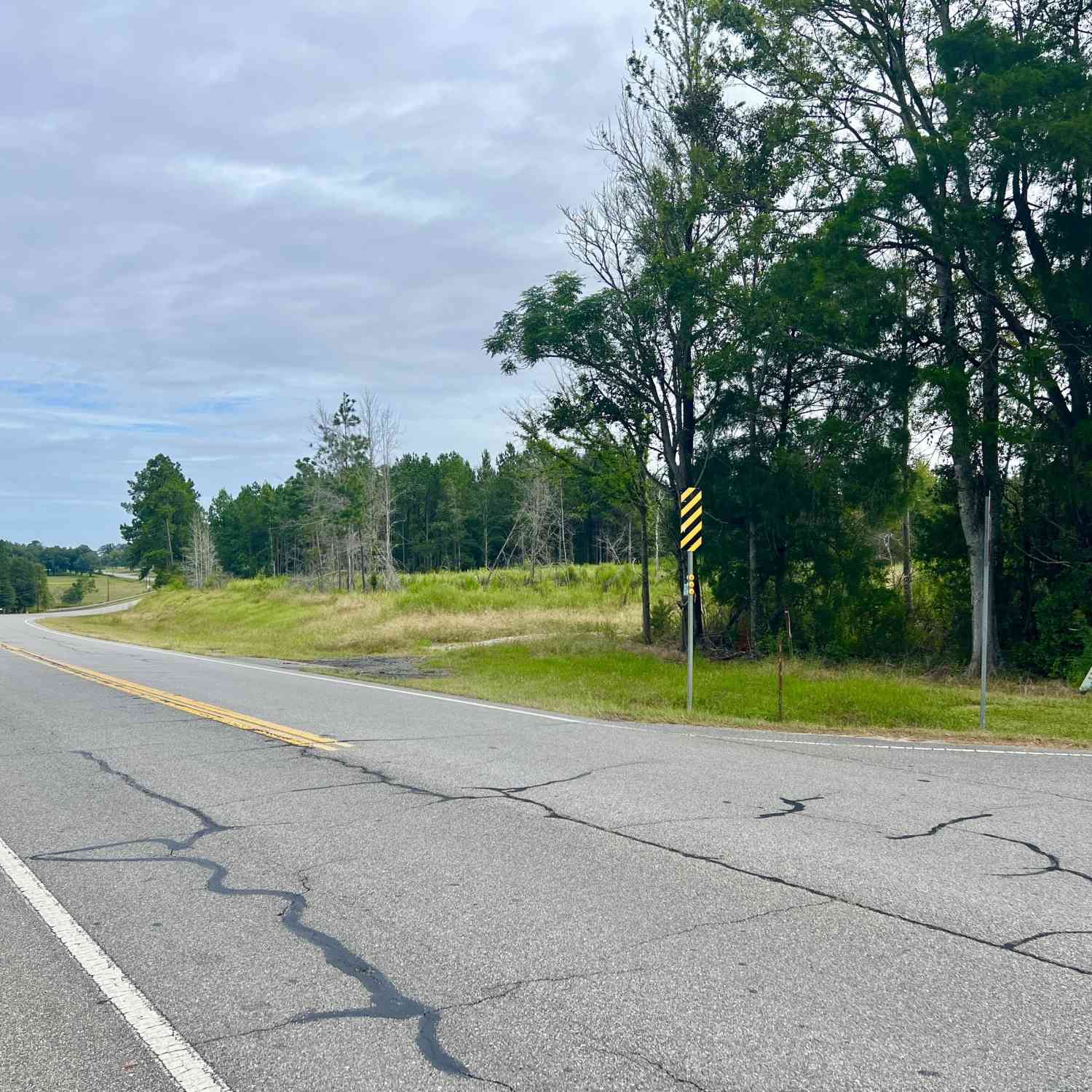 Vacant Land For Sale - Old Ailey-lothair Road<br/> Mount Vernon, GA 30445
