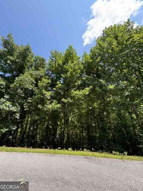 Vacant Land For Sale - LOT #5 King Mountain Drive<br/> Rabun County, Clayton, GA 30525