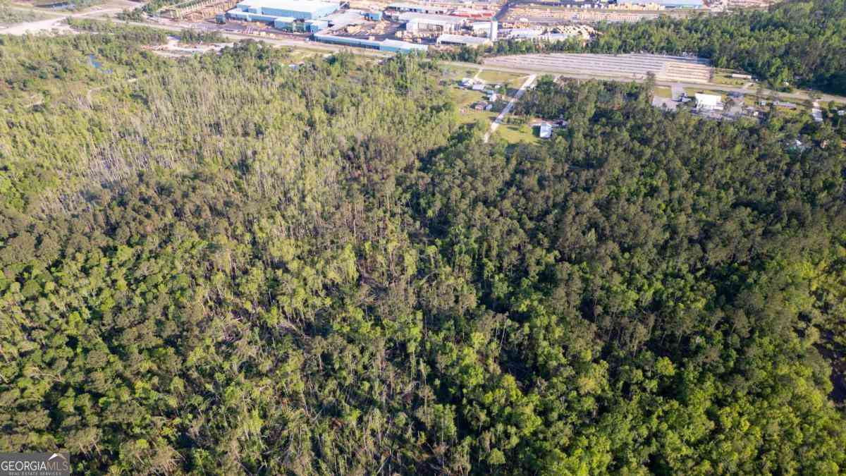Vacant Land For Sale - Walter Phillips Road<br/> Hazlehurst, GA 31539