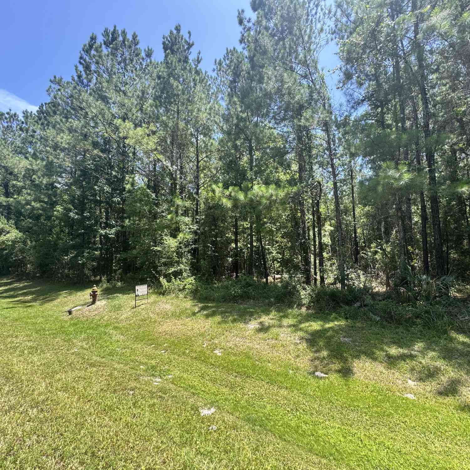 Vacant Land For Sale - LOT 88 La Sole Lane<br/> Camden County, Waverly, GA 31565