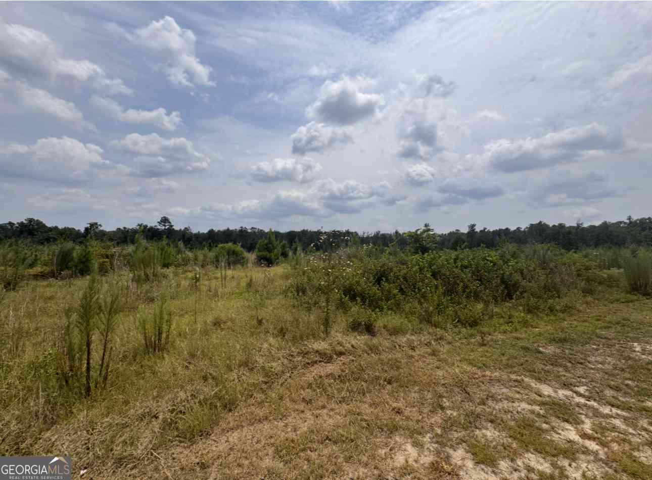 Vacant Land For Sale - Rose Hollow Road<br/> Toombs County, Lyons, GA 30436