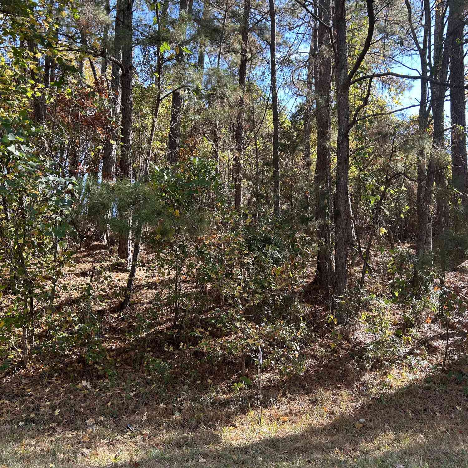 Vacant Land For Sale - 2090 Lee Peters Road<br/> Loganville, GA 30052
