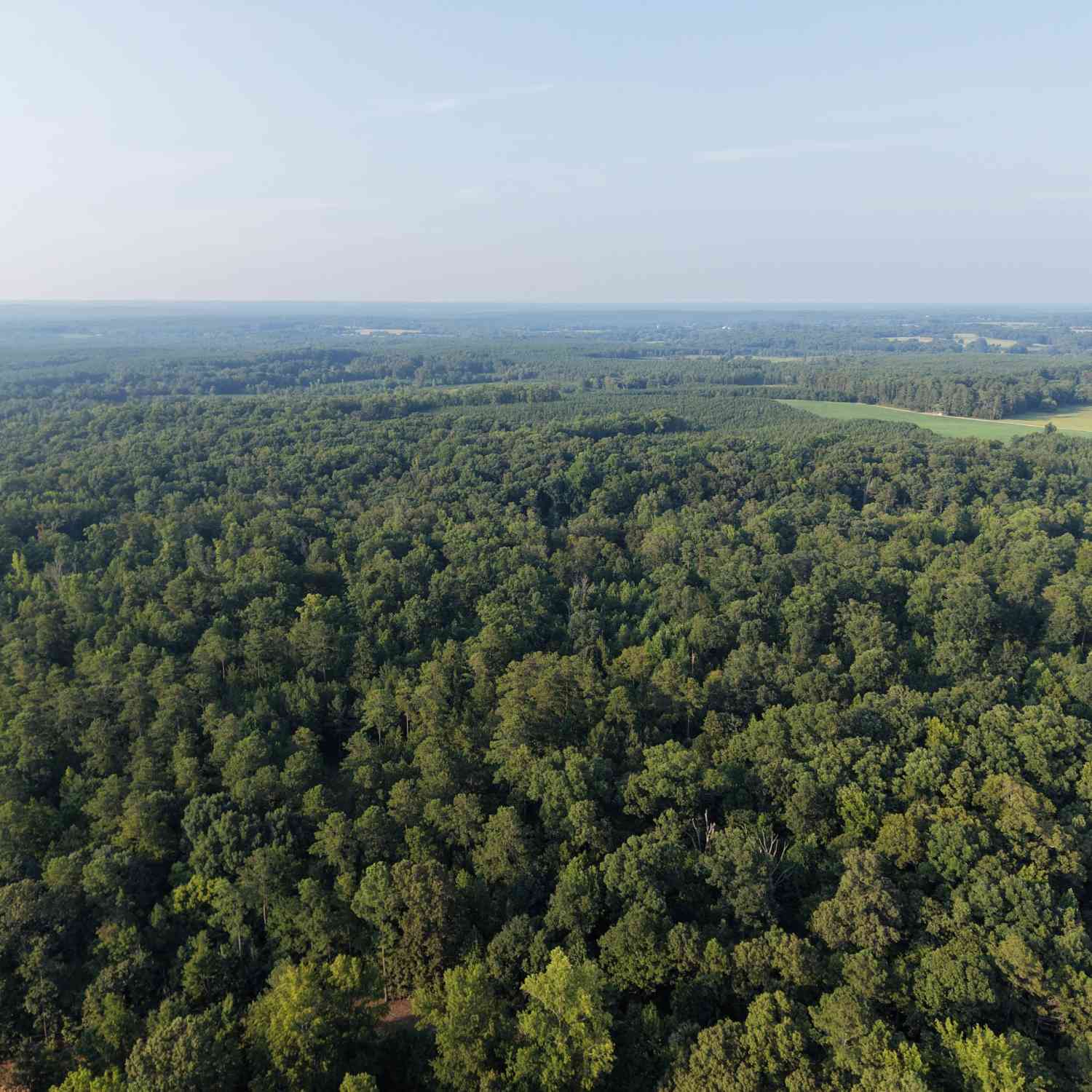Vacant Land For Sale - 7 Bunch Road<br/> tignall, GA 30668