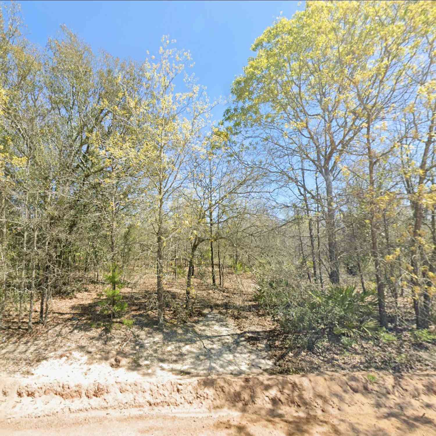 Vacant Land For Sale - Mixon Lane<br/> Douglas, GA 31535