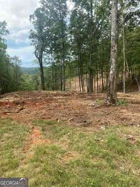 Vacant Land For Sale - LOT 56 Ridge Line Trail<br/> Ellijay, GA 30540