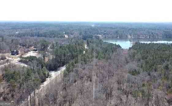 Vacant Land For Sale - 12425 Panhandle Road<br/> Hampton, GA 30228