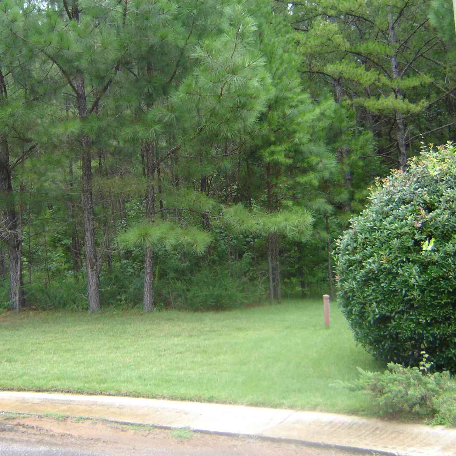 Vacant Land For Sale - Covington Way<br/> Lanett, AL 36863