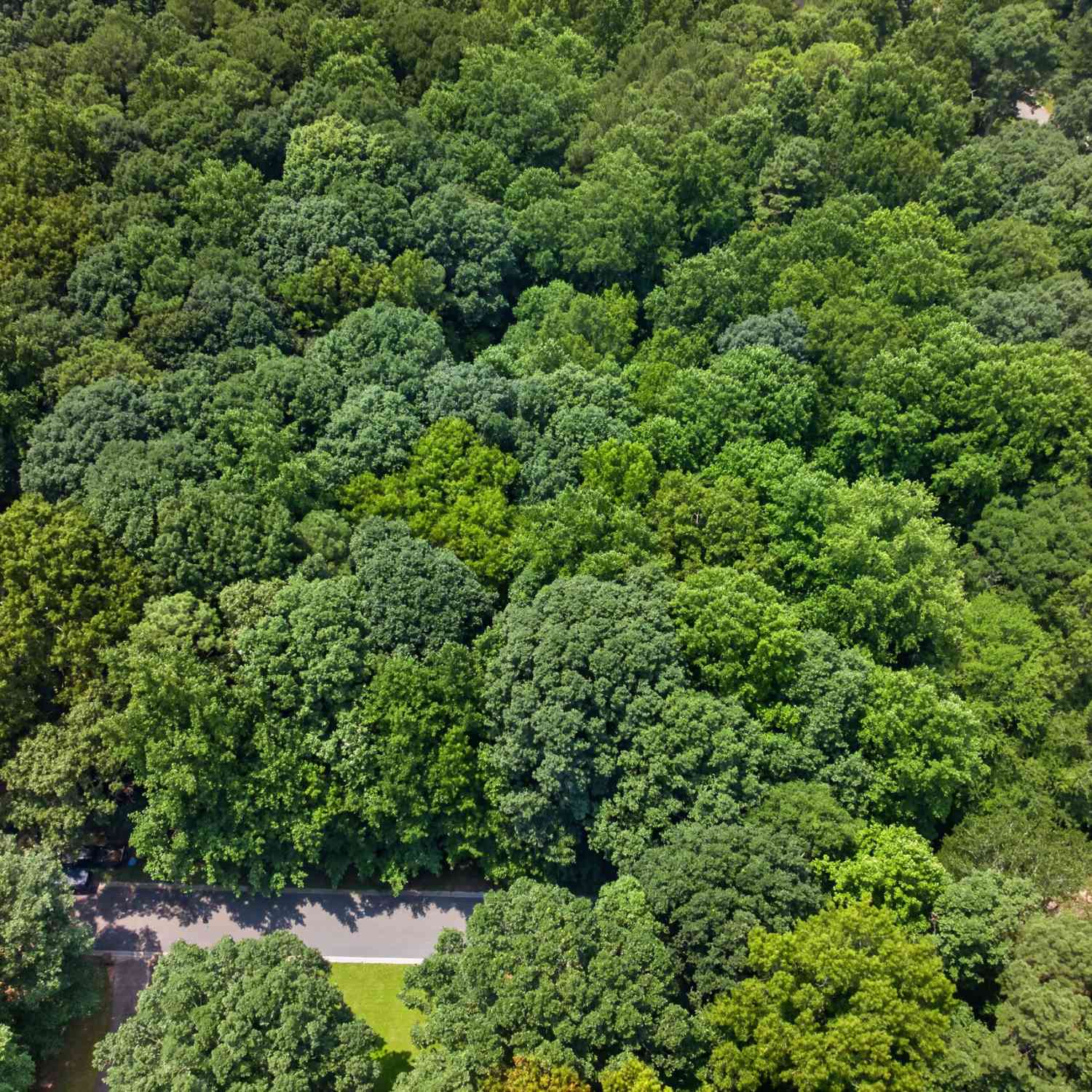 Vacant Land For Sale - 1322 Center Drive<br/> Barrow County, Auburn, GA 30011