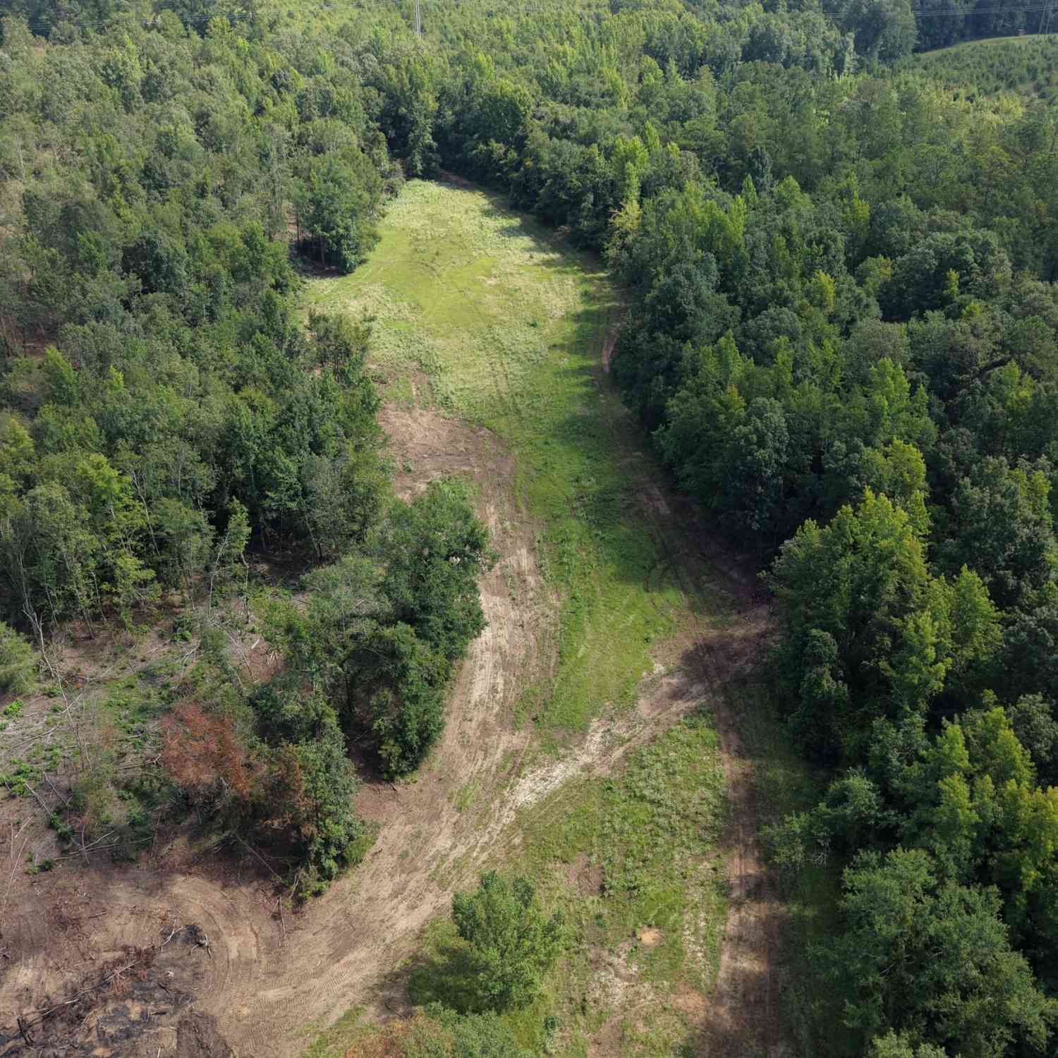 Vacant Land For Sale - Highway 57<br/> Wilkinson County, McIntyre, GA 31054