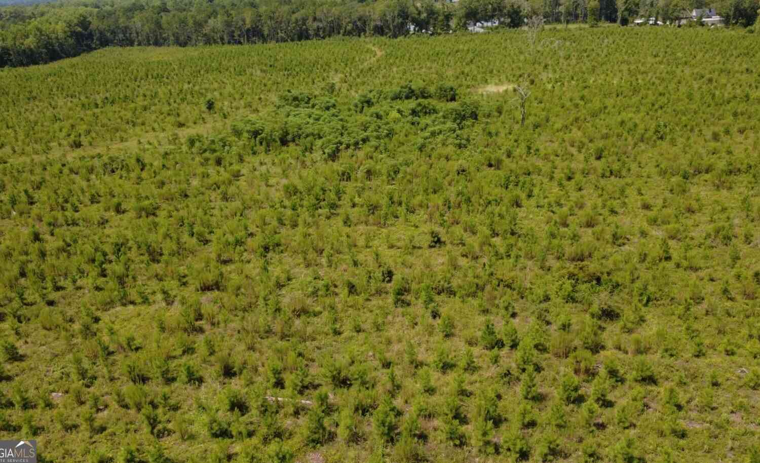 Vacant Land For Sale - Sims Brothers Rd<br/> Claxton, GA 30417