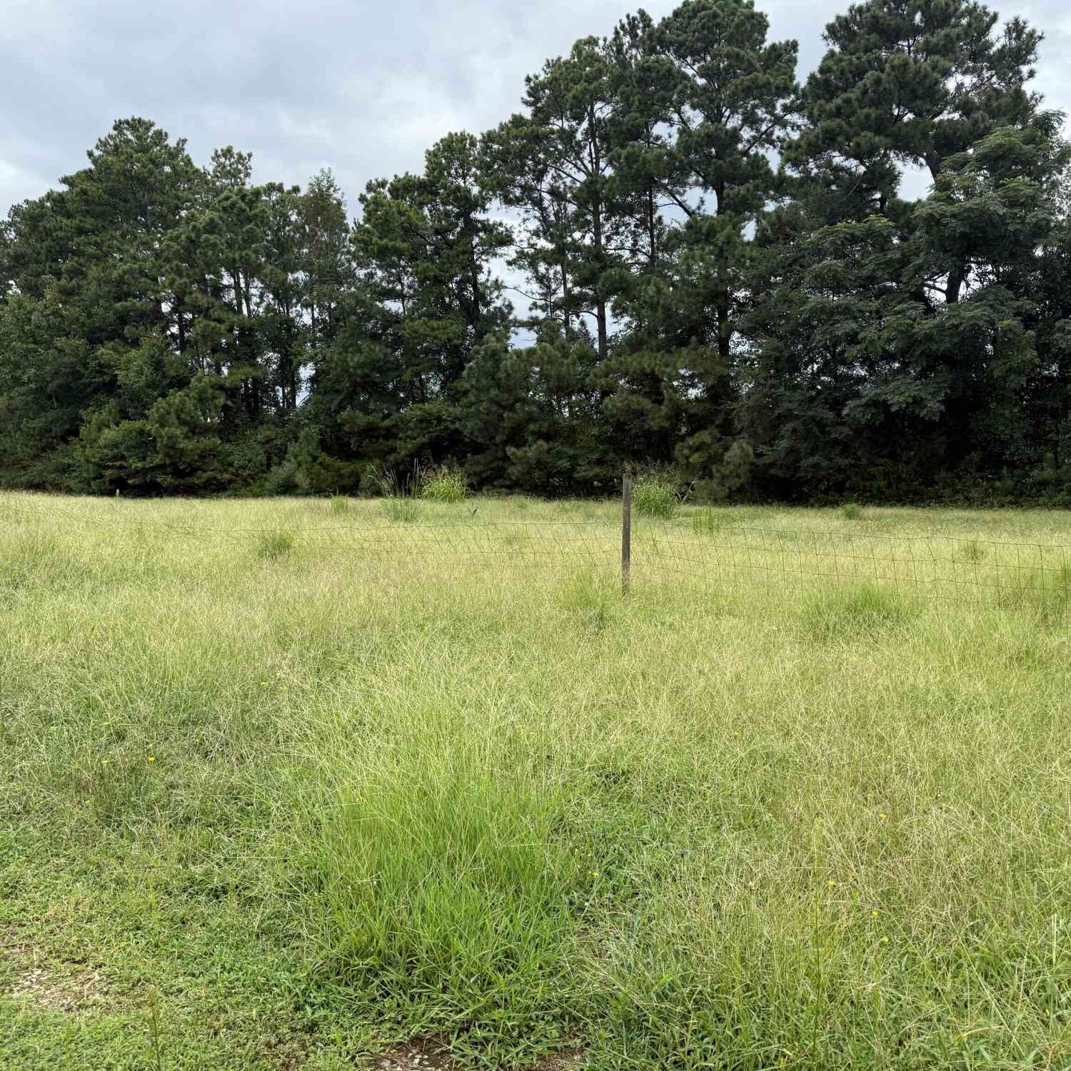 Vacant Land For Sale - Cannon Road<br/> Sharpsburg, GA 30277