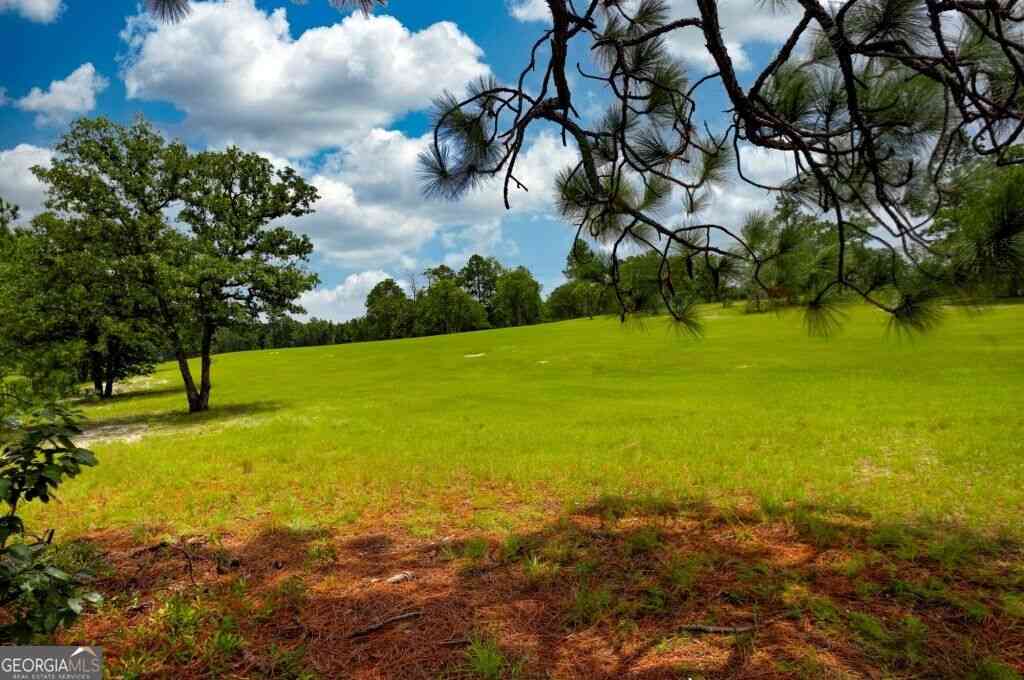 Vacant Land For Sale - Ben Grady Collins Road<br/> Portal, GA 30450