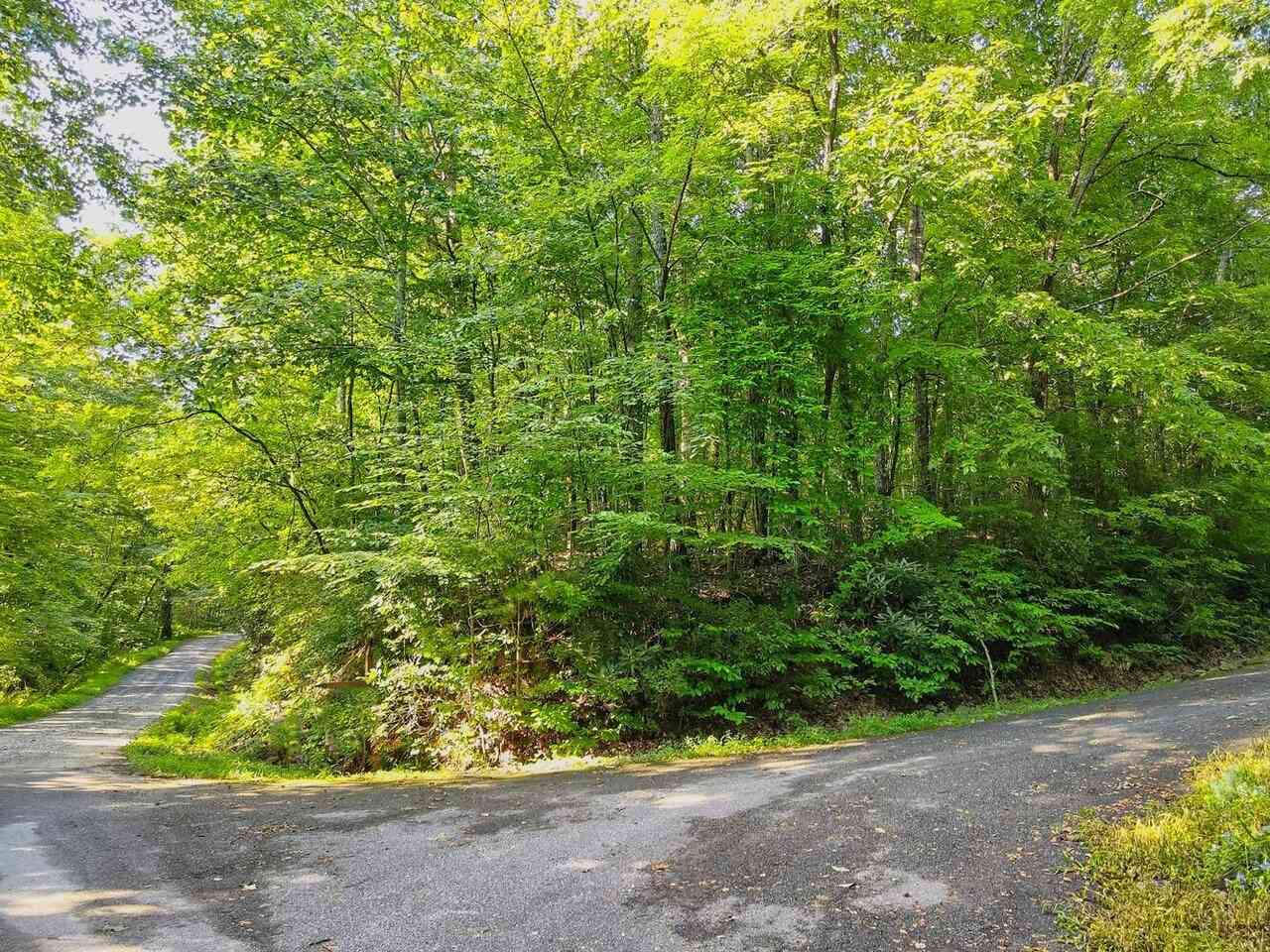 Vacant Land For Sale - Charmont #3<br/> Rabun County, Tiger, GA 30576