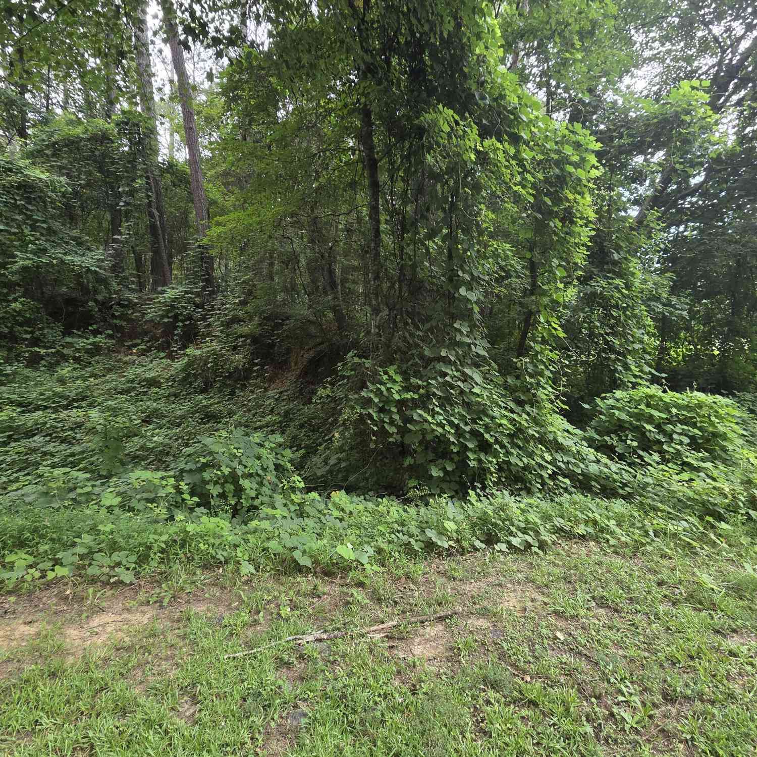 Vacant Land For Sale - 690 Northlake Circle<br/> Oxford, GA 30054