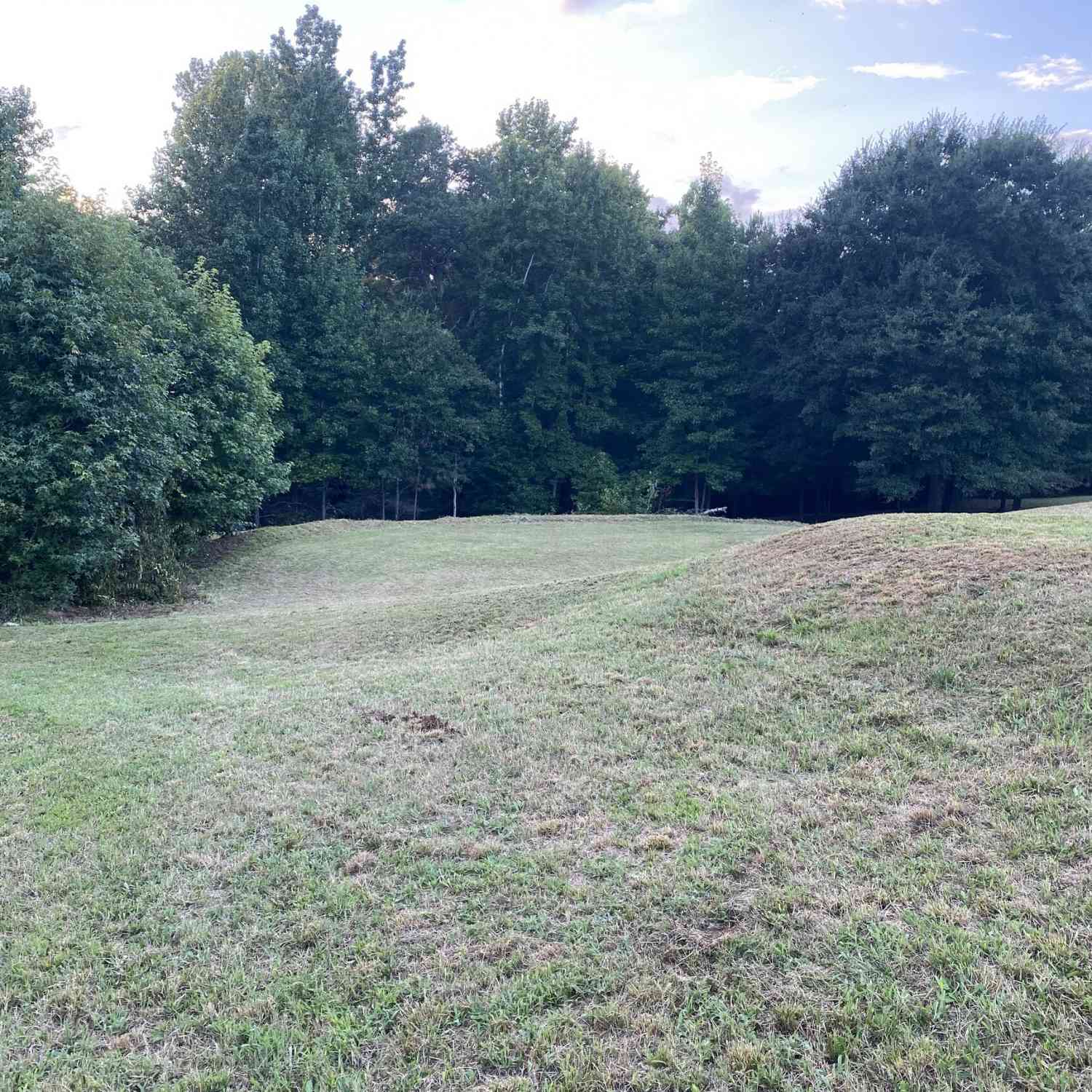 Vacant Land For Sale - 944 Muscovy Lane<br/> Barrow County, Winder, GA 30680