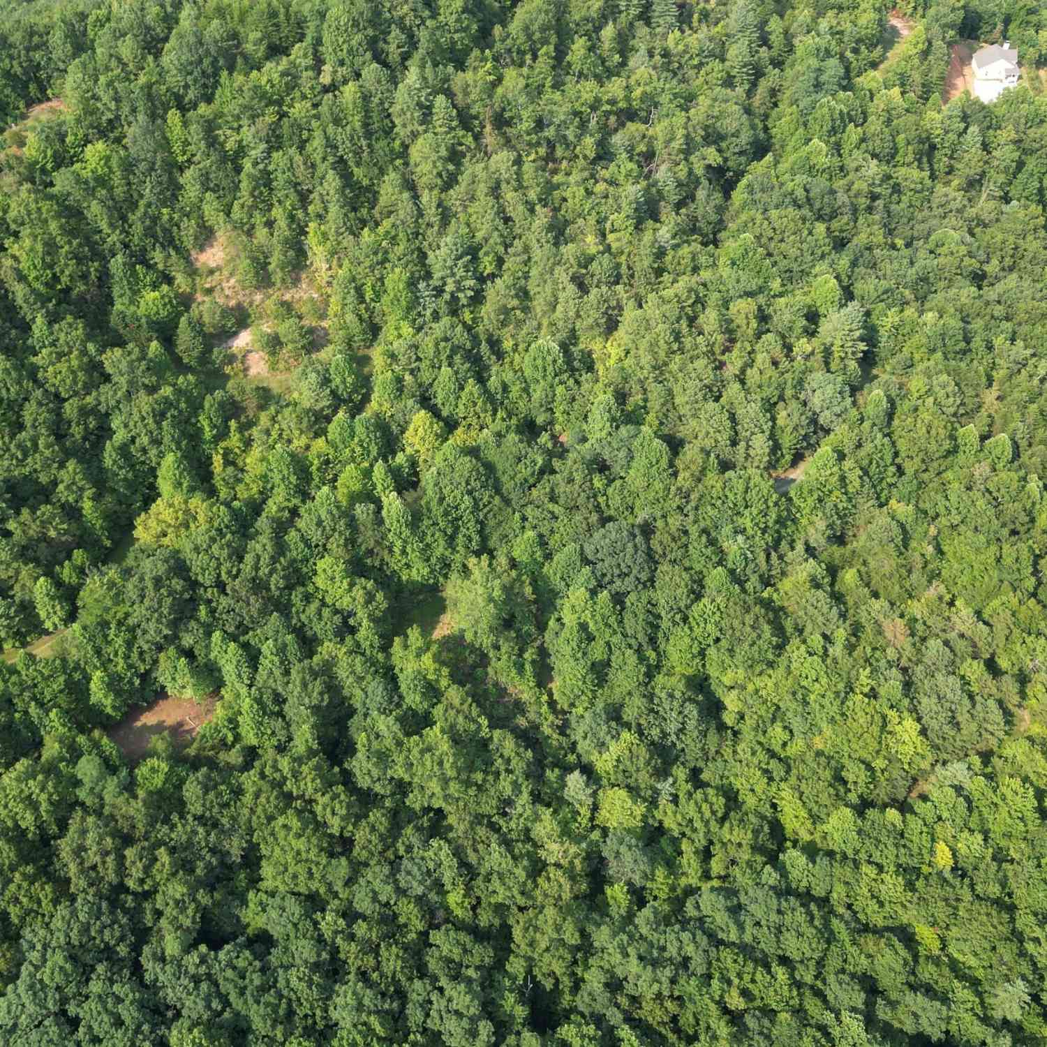 Vacant Land For Sale - Kozy Lane<br/> Andrews, NC 28901