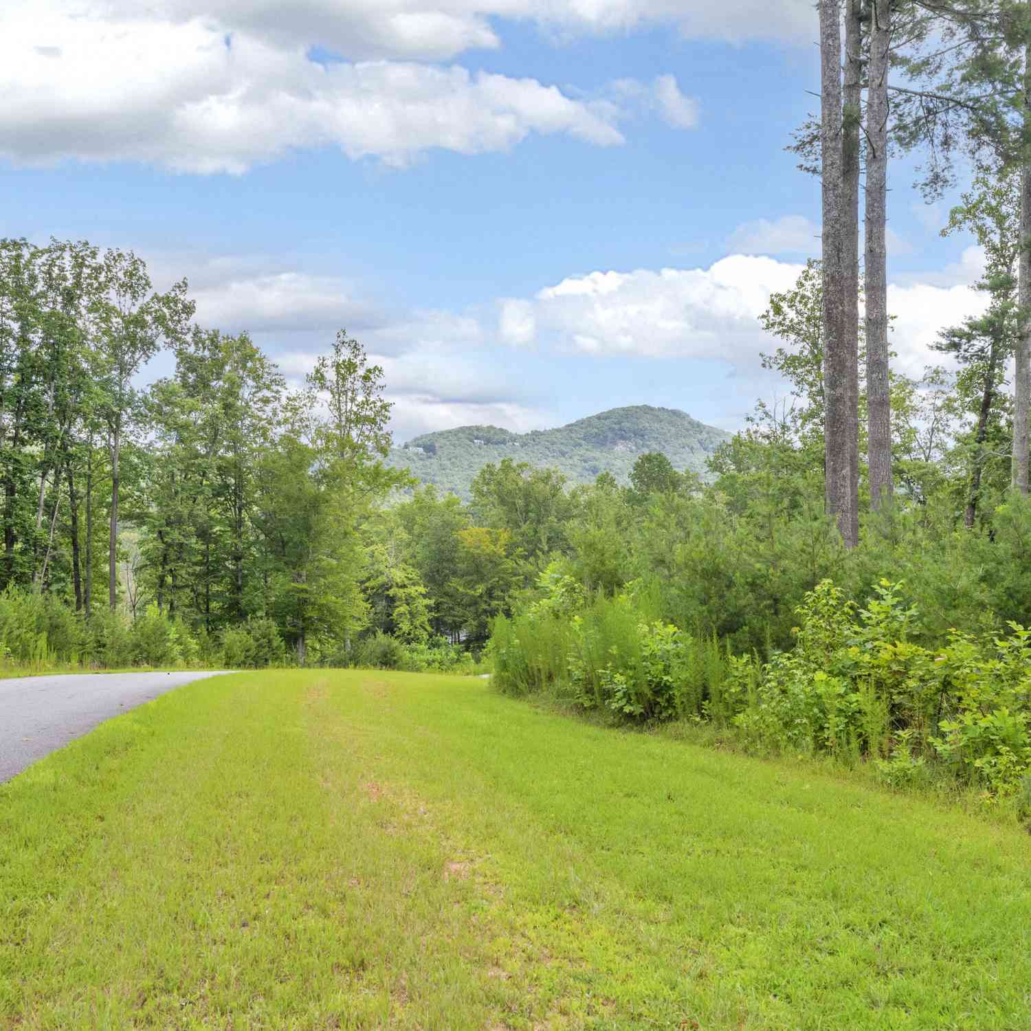 Vacant Land For Sale - LOT 73 Leisure Mountain Trail<br/> White County, Sautee Nacoochee, GA 30571