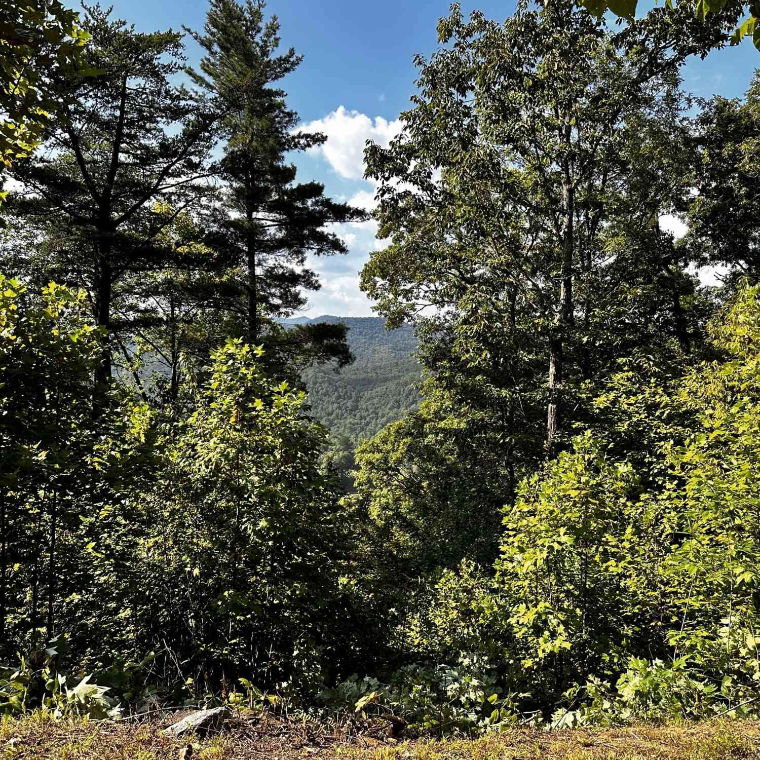 Vacant Land For Sale - LOT J-12 Winterberry Trail<br/> Rabun County, Clayton, GA 30525