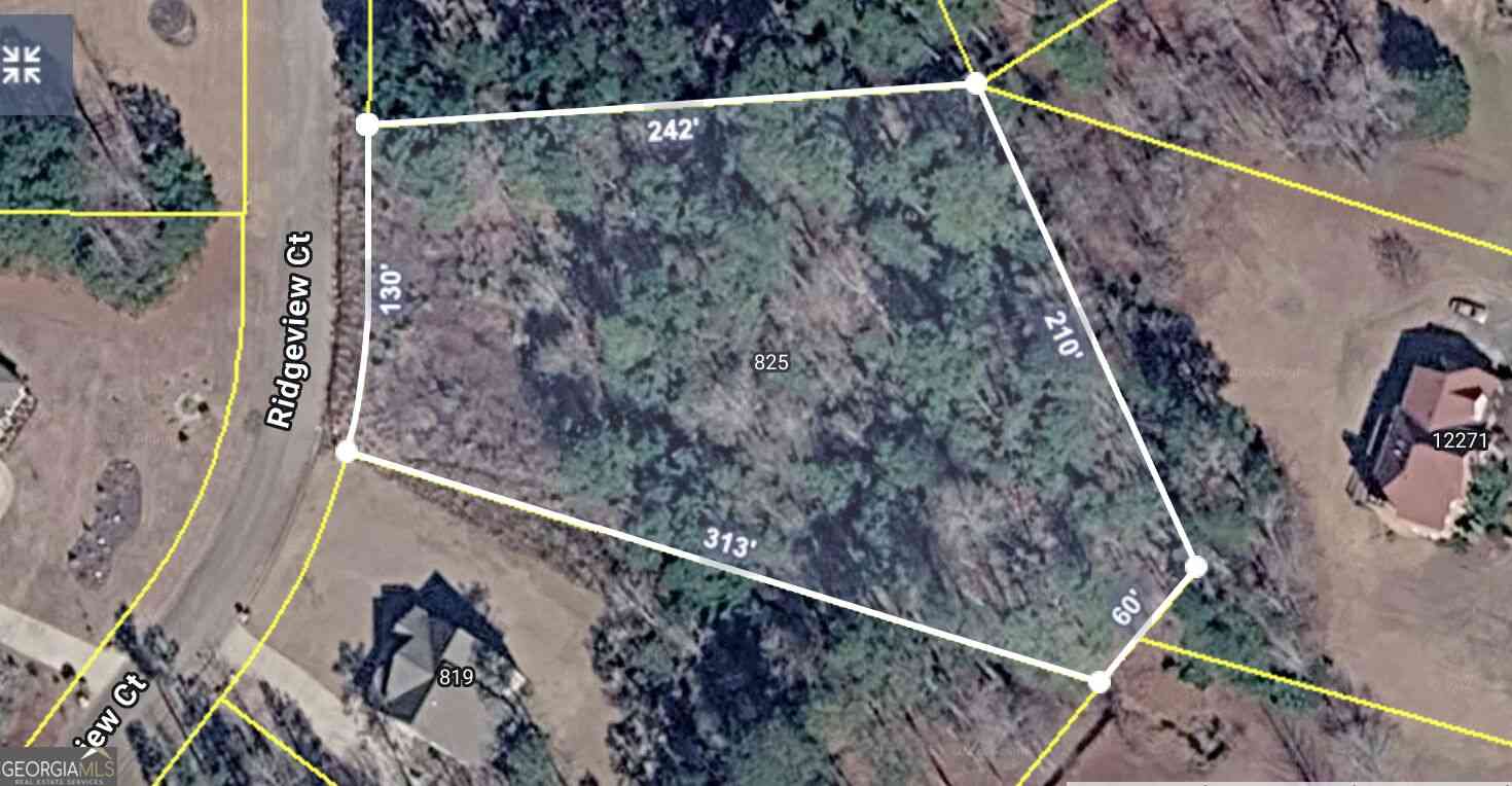 Vacant Land For Sale - 825 Ridgeview Court<br/> Hampton, GA 30228