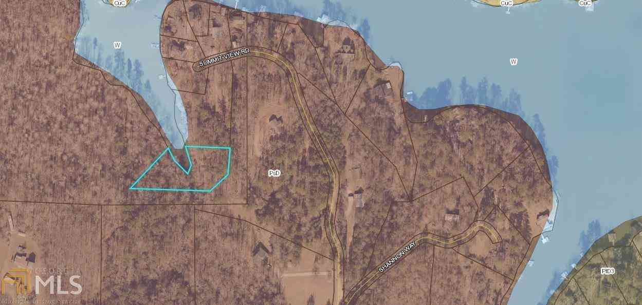 Vacant Land For Sale - Summit View<br/> Jackson, GA 30233